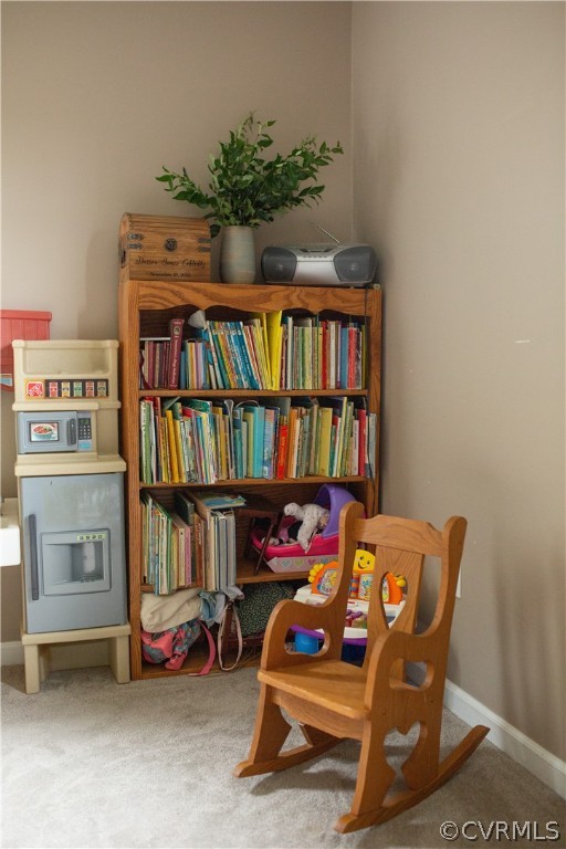 10522 Green Bay Road Rice, VA 23966 - Photo 22 of 34 Gallery Image 22