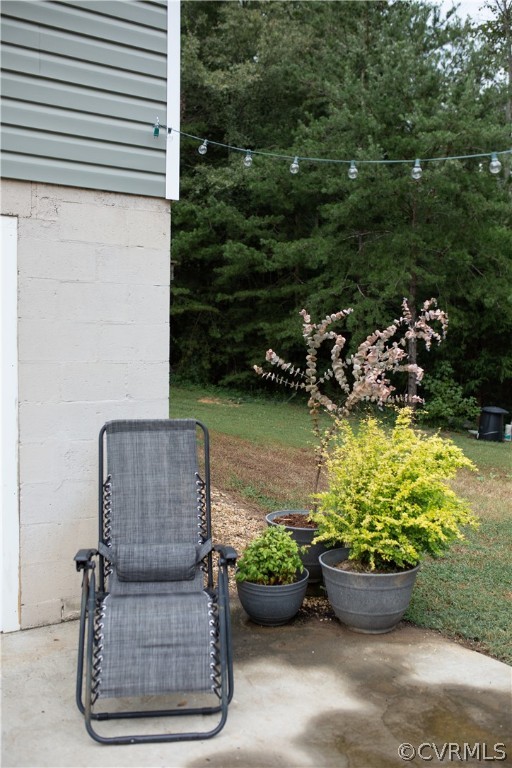 10522 Green Bay Road Rice, VA 23966 - Photo 28 of 34 Gallery Image 28