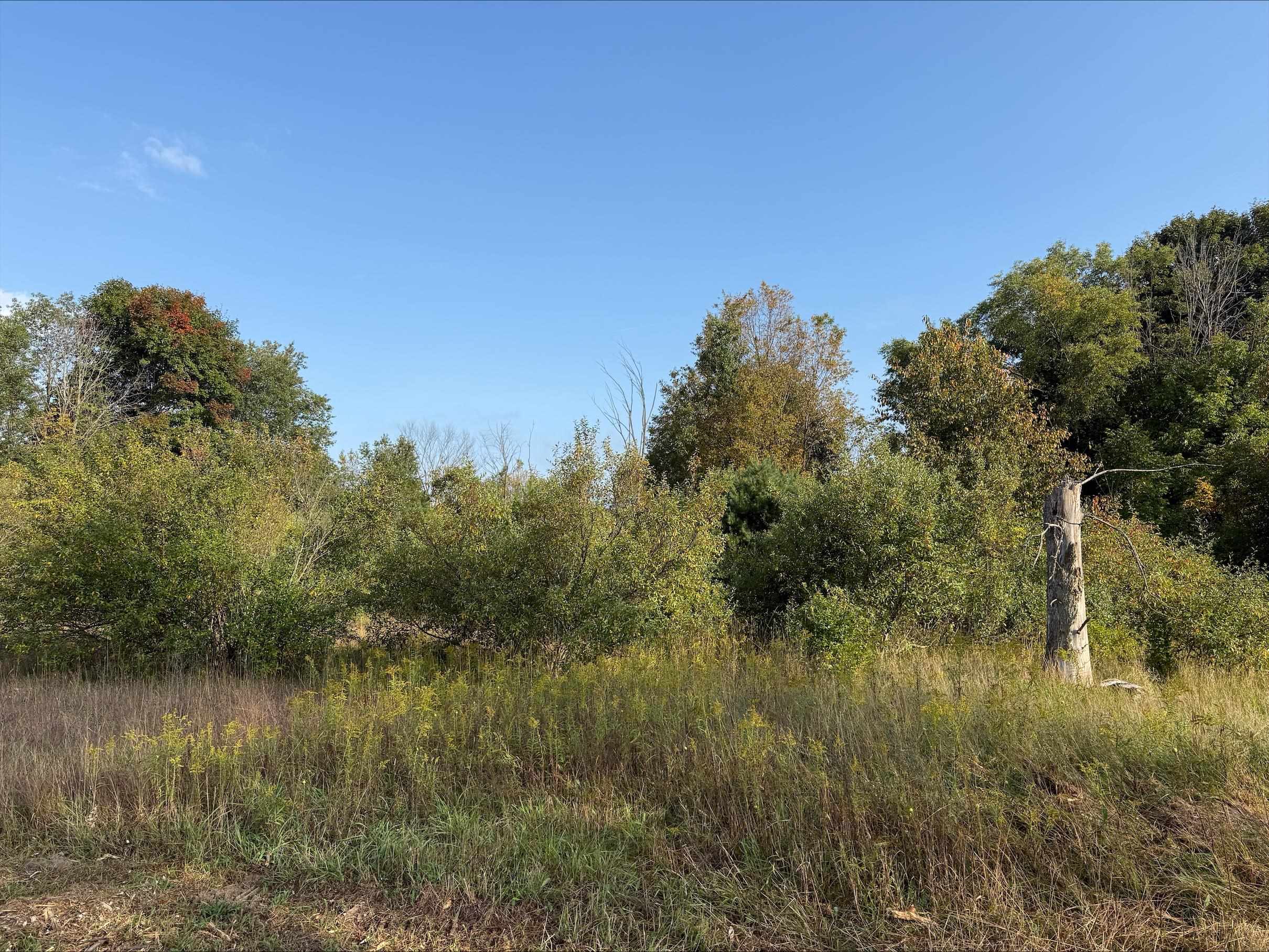 South Maple City Road Maple City, MI 49664 - Photo 5 of 9