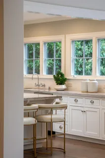 a view of cabinets a sink and a potted plant sitting on a table