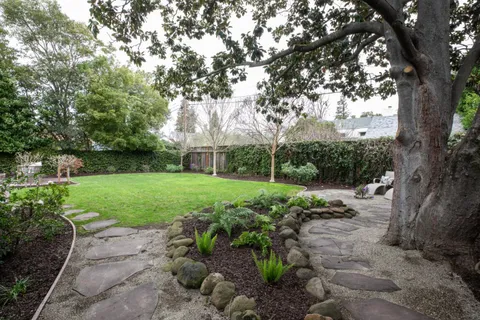 a view of a park with large trees