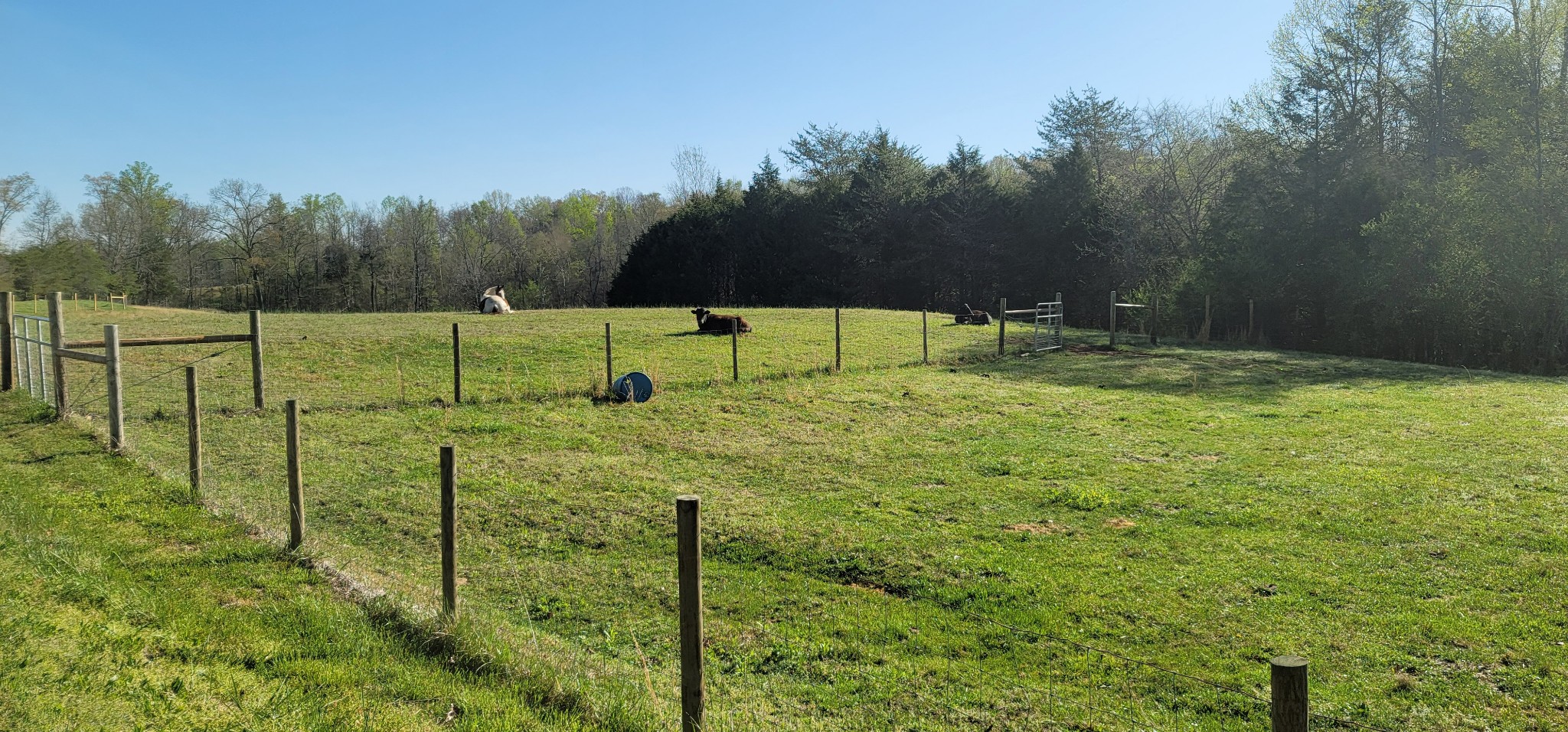 776 Seamons Road Rock Island, TN 38581 - Photo 13 of 41 Gallery Image 13