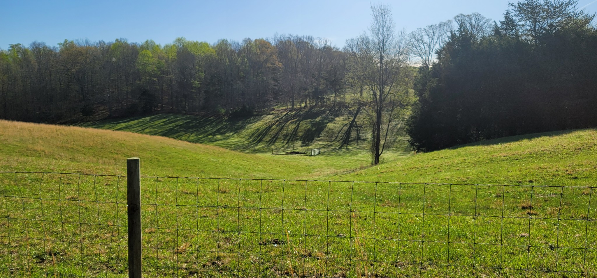 776 Seamons Road Rock Island, TN 38581 - Photo 14 of 41 Gallery Image 14