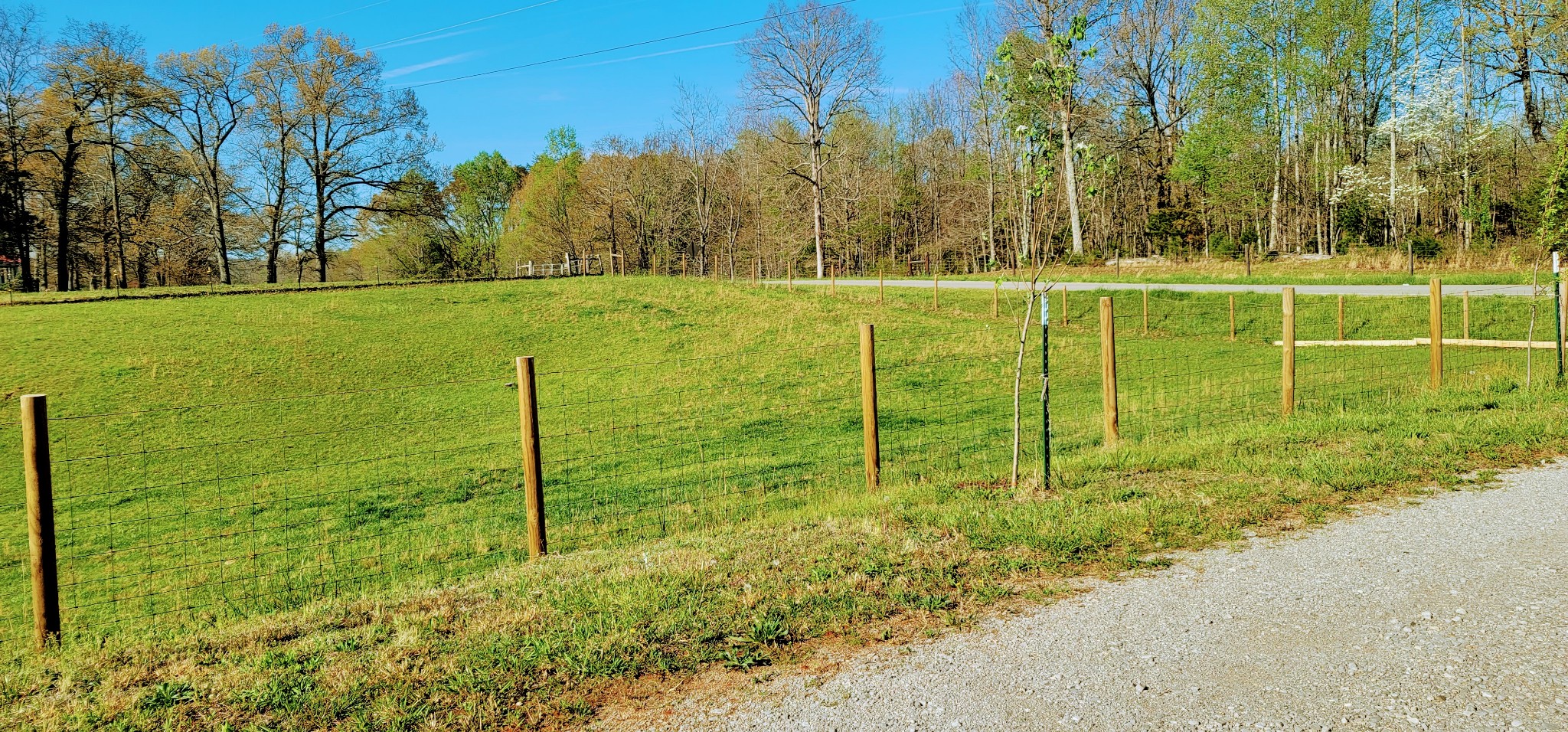 776 Seamons Road Rock Island, TN 38581 - Photo 15 of 41 Gallery Image 15