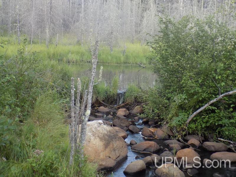 Tbd Mill Creek Road Republic, MI 49879 - Photo 1 of 11