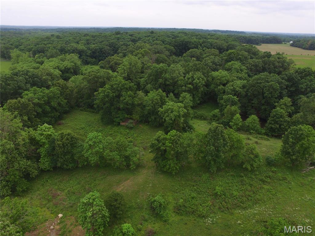 14809 East Knox Road Mount Vernon, IL 62864 - Photo 5 of 31