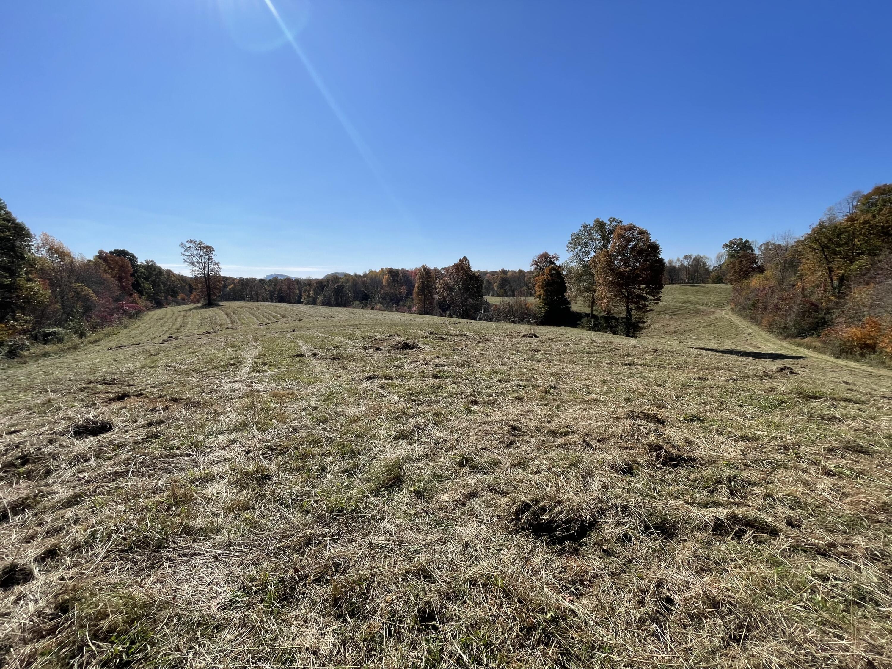 9999 Burnett Road London, KY 40744 - Photo 35 of 44 IMG_4229