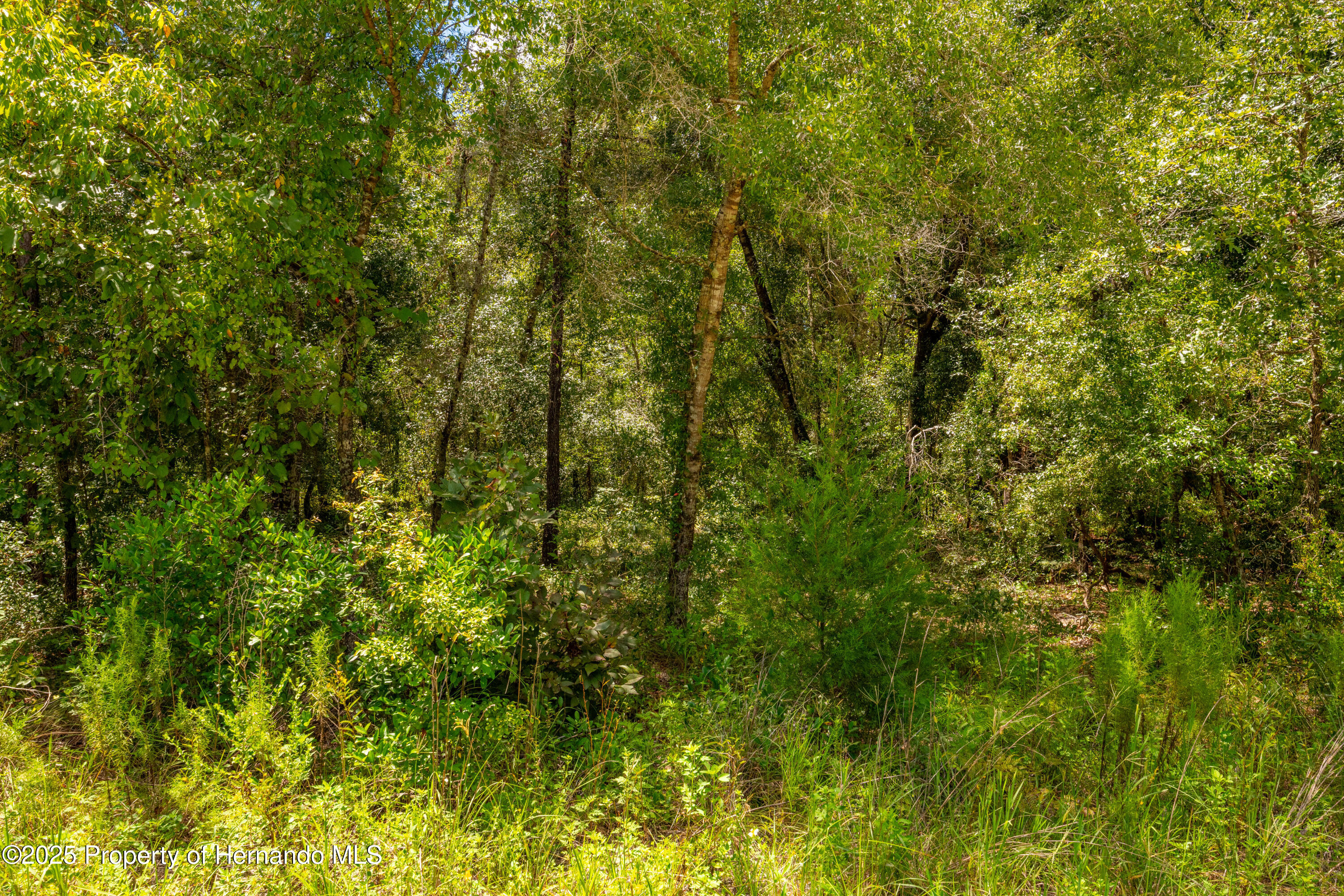 13304 Canada Goose Road Weeki Wachee, FL 34614 - Photo 13 of 13