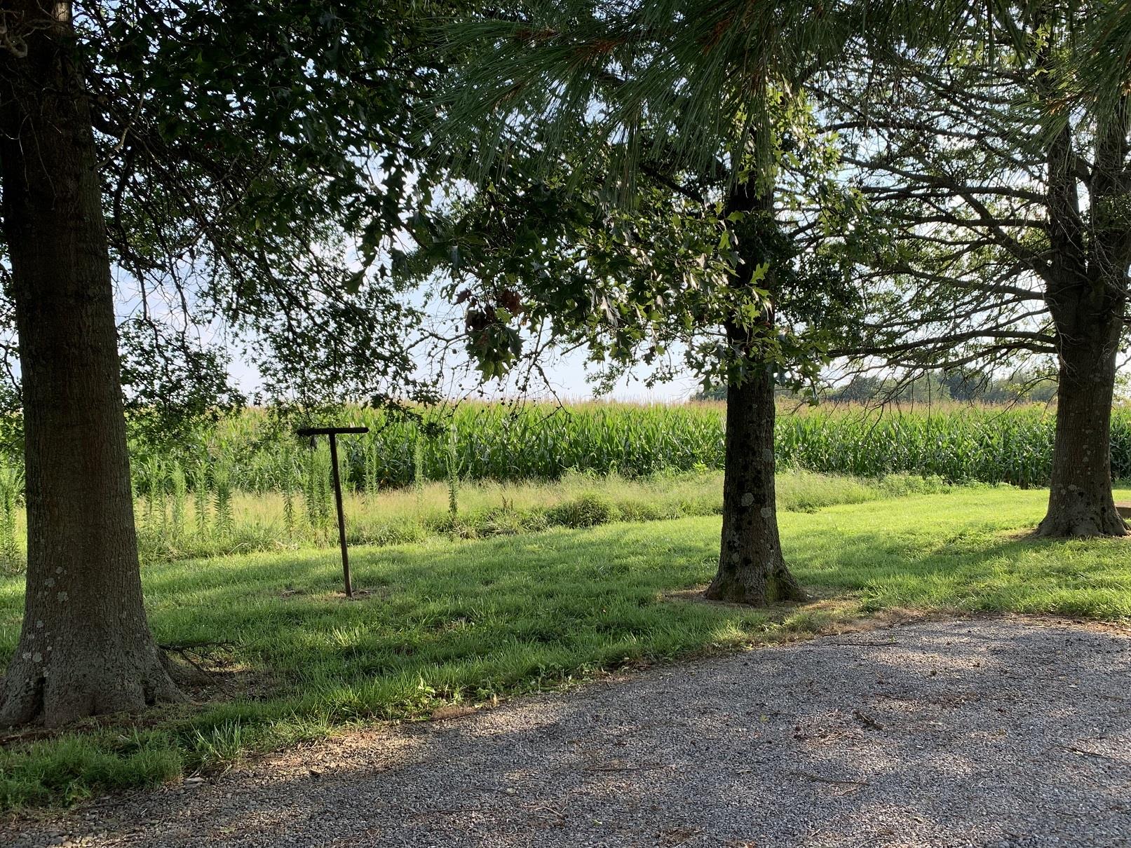 1135 Payne Road Portland, TN 37148 - Photo 8 of 10