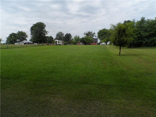 2496 Bluebird Road Lebanon, TN 37087 - Photo 9 of 16 huge back yard