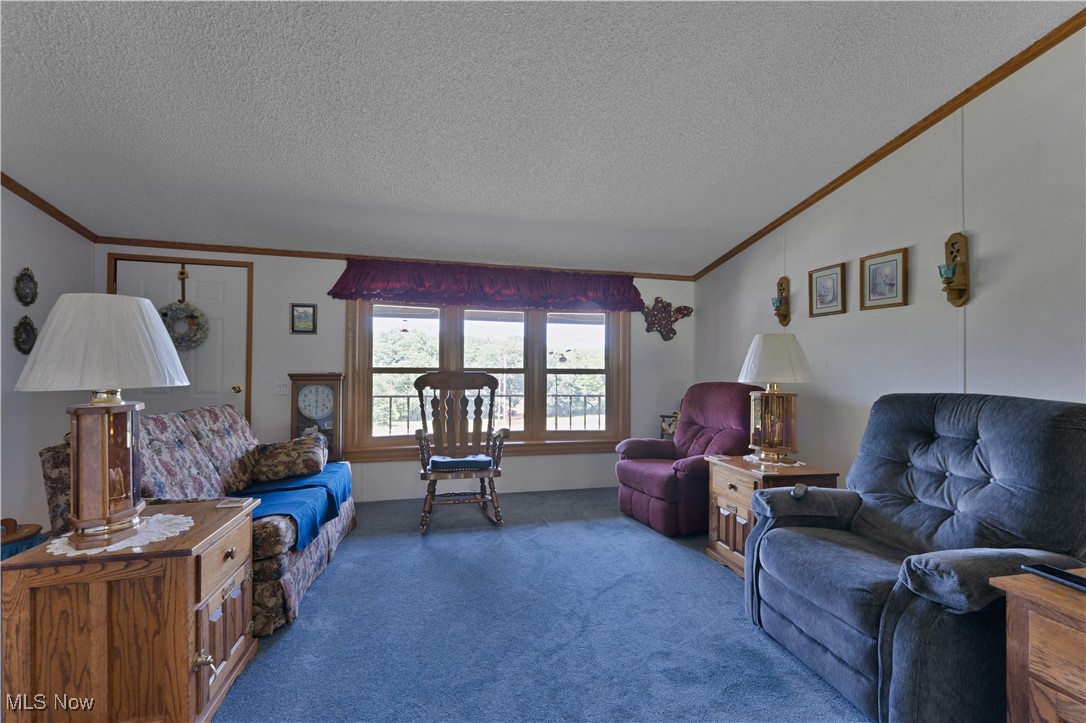 41941 Churchill Road Lisbon, OH 44432 - Photo 13 of 43 Gallery Image 13