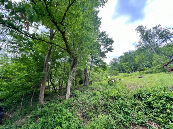 $8,000 | Hill, Gauley Bridge, WV 25085