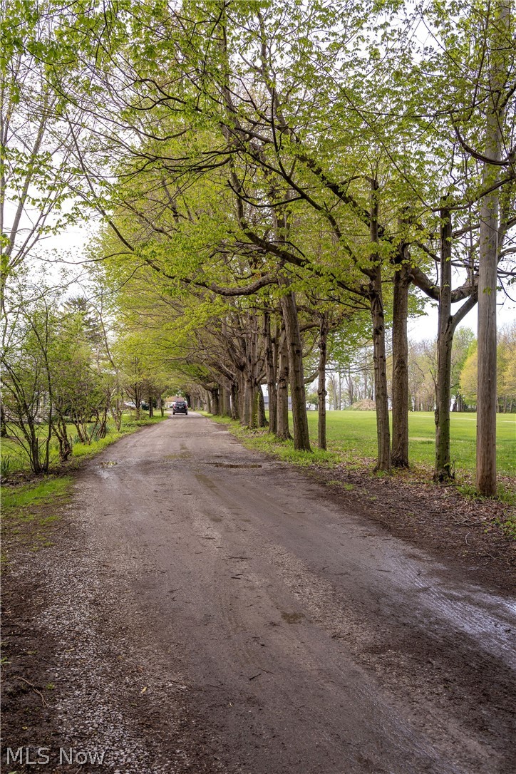 5467 Chapel Road Madison, OH 44057 - Photo 45 of 50 Gravel and dirt road bordered by mature trees with emerging green foliage