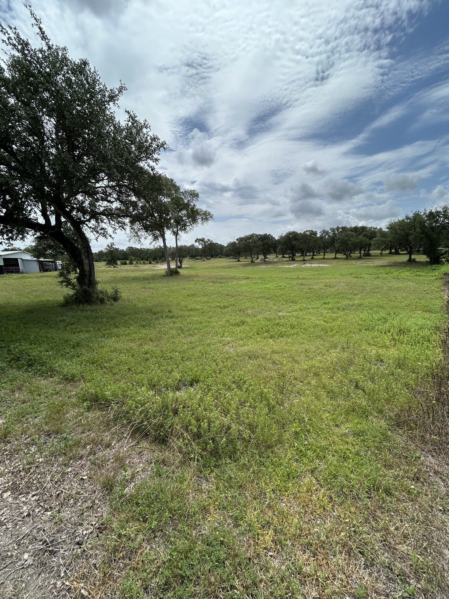 7618 Meiners Road Ledbetter, TX 78946 - Photo 43 of 48 Gallery Image 43