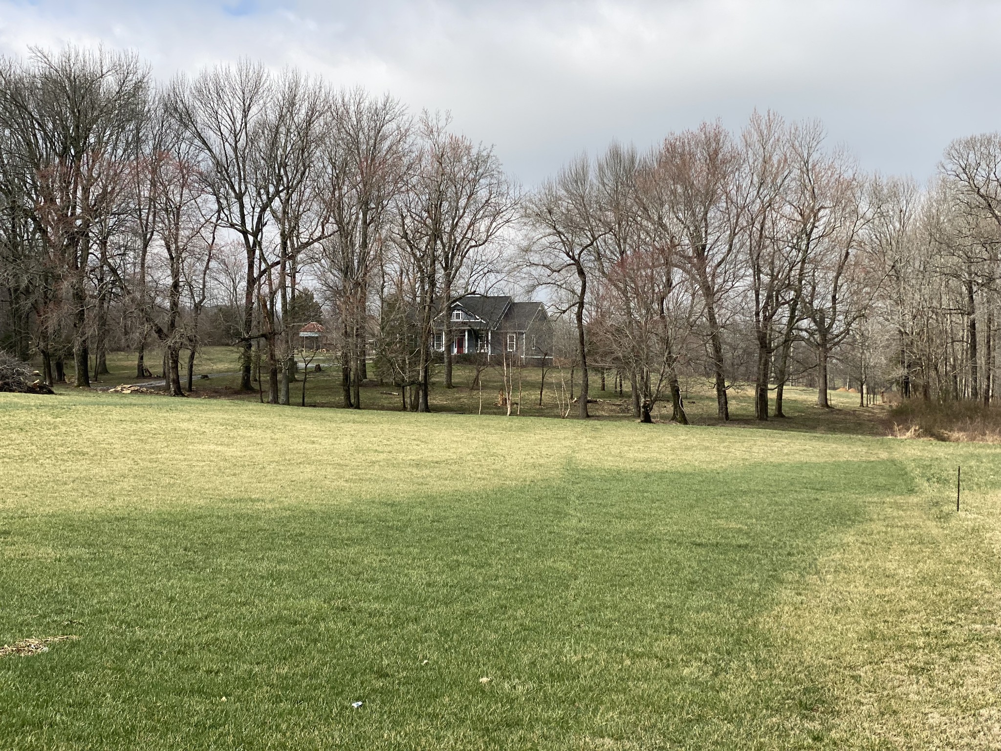 445 Moore Link Road Portland, TN 37148 - Photo 5 of 30 a view of a field with trees in the background