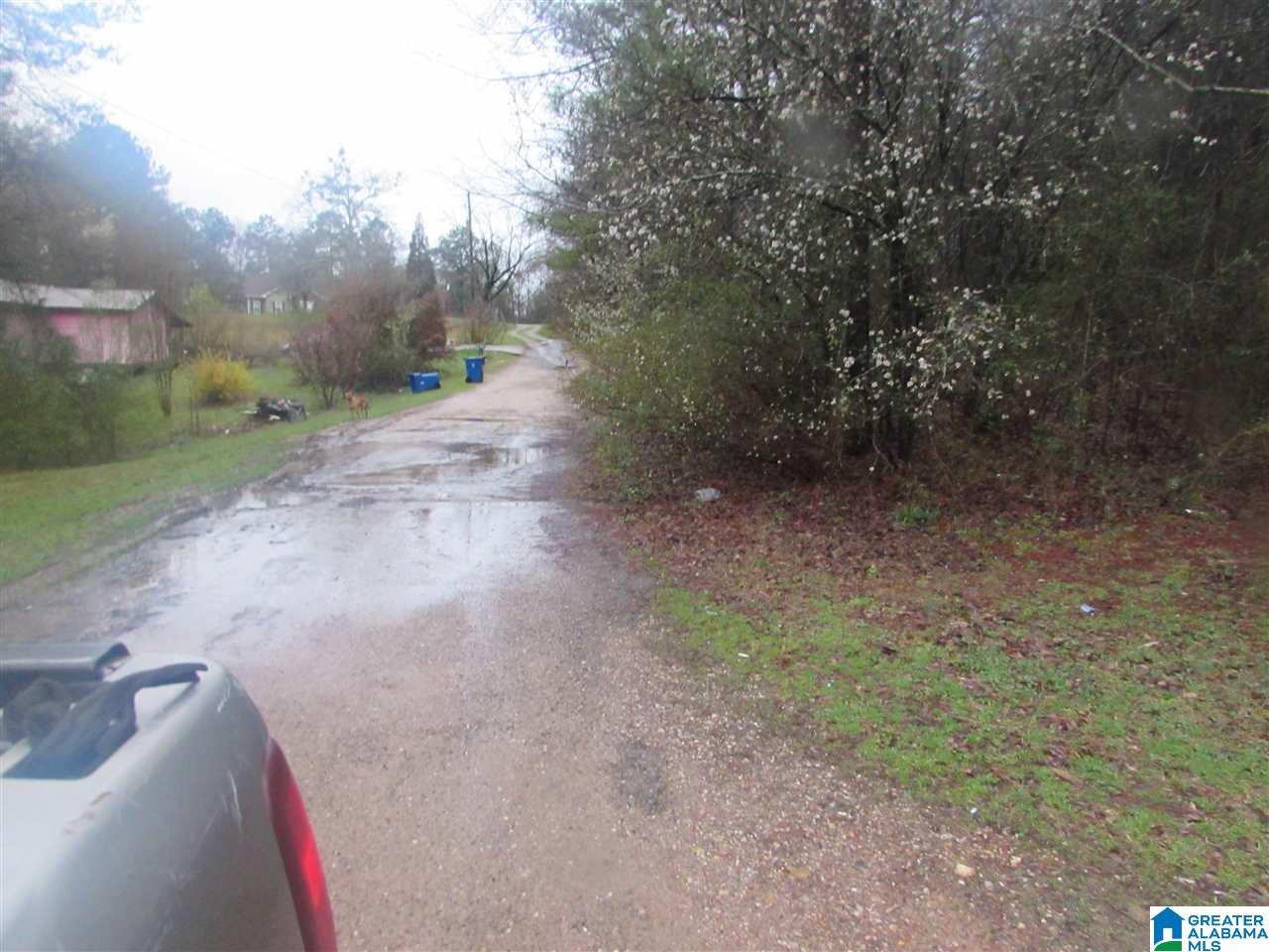 0 West Kirksey Road Eastaboga, AL 36260 - Photo 5 of 6
