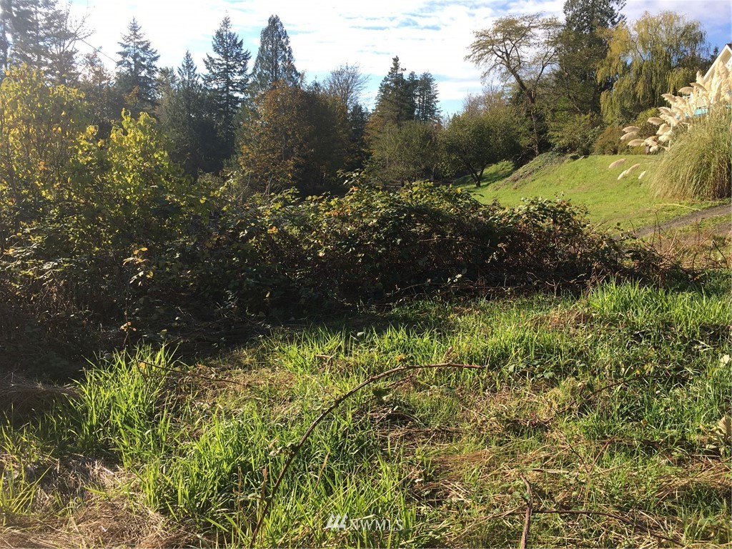 5130 East Pickering Road Shelton, WA 98584 - Photo 1 of 10 Gallery Image 1