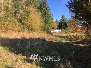 5130 East Pickering Road Shelton, WA 98584 - Photo 5 of 10 Gallery Image 5