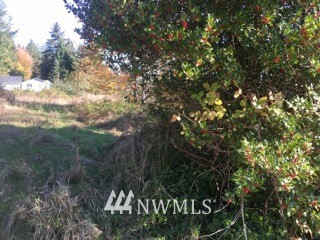5130 East Pickering Road Shelton, WA 98584 - Photo 6 of 10 Gallery Image 6