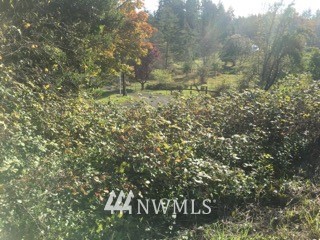 5130 East Pickering Road Shelton, WA 98584 - Photo 7 of 10 Gallery Image 7