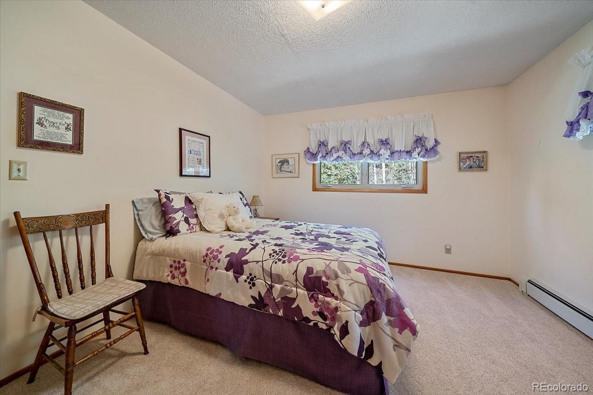 331 Snyder Mountain Road Evergreen, CO 80439 - Photo 17 of 40 Gallery Image 17