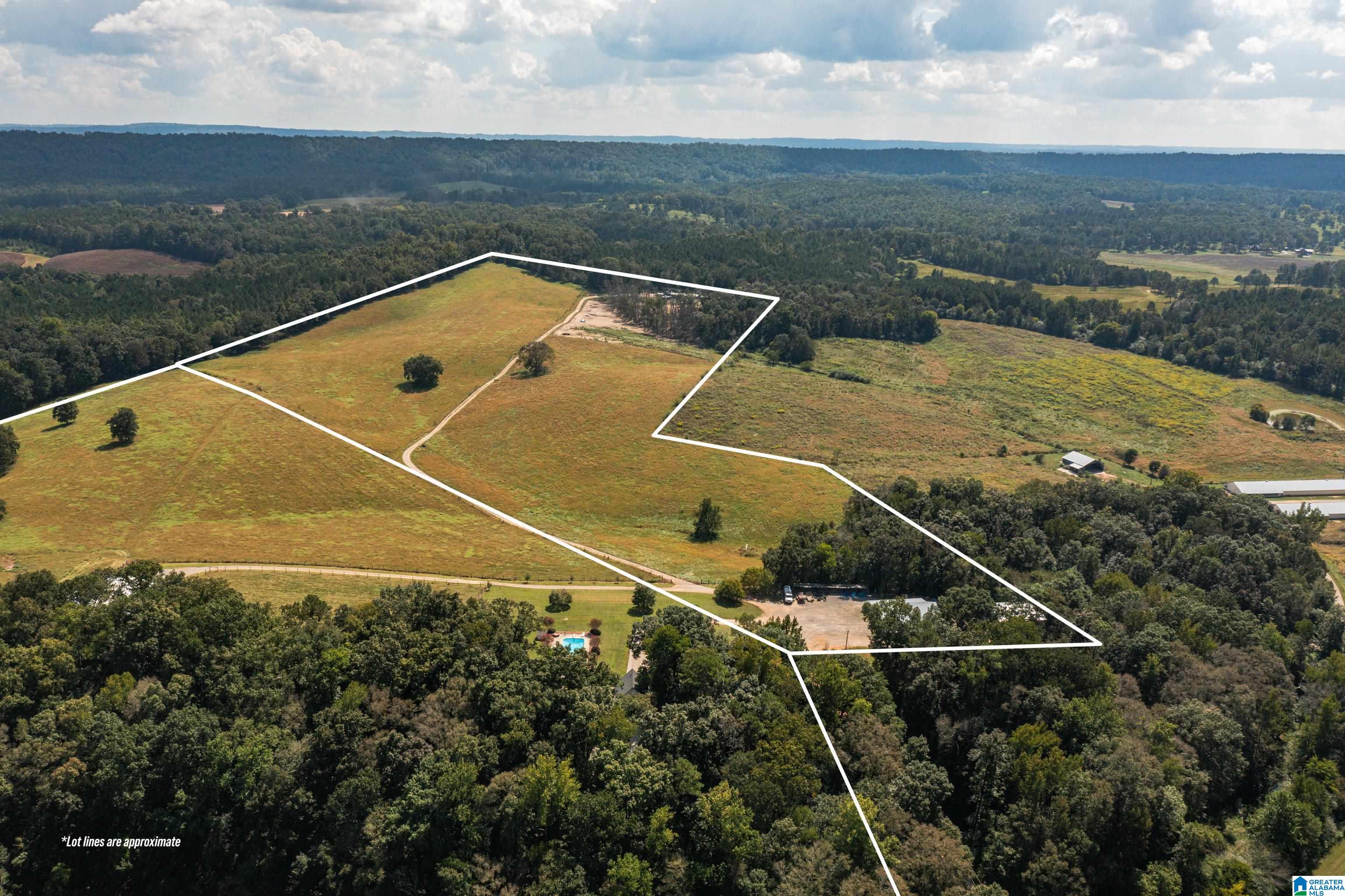 3124 County Road 39 Oneonta, AL 35121 - Photo 6 of 98