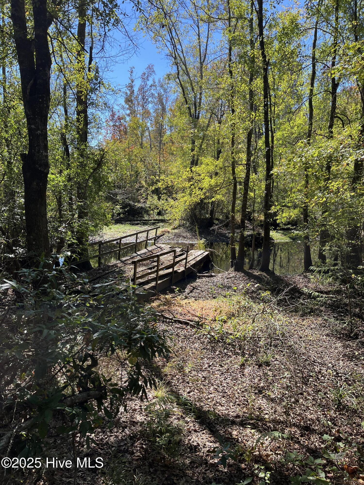 Off Hayne Stretch Road Autryville, NC 28318 - Photo 23 of 38 IMG_9318