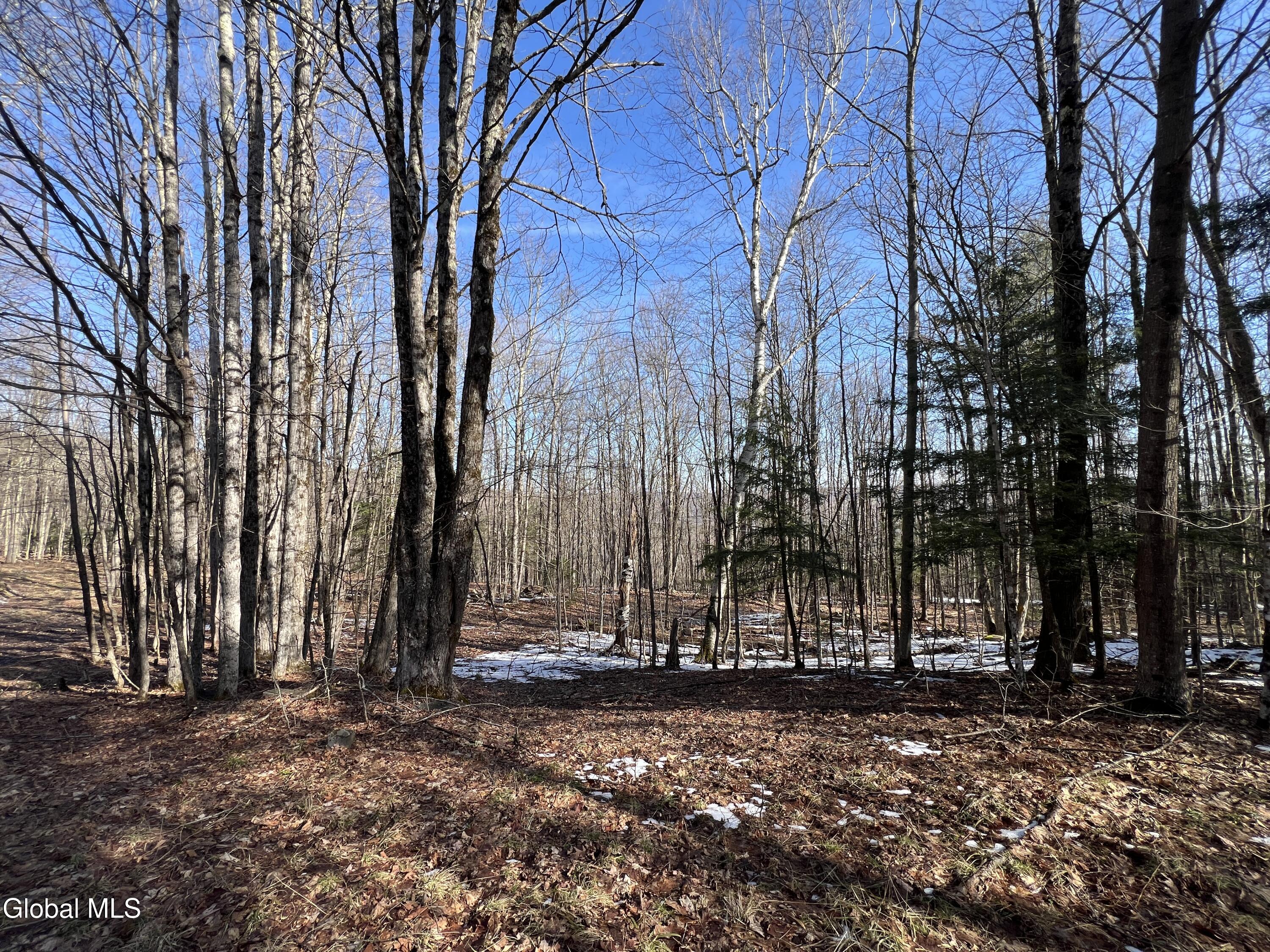536 Bates Forest Road Conesville, NY 12076 - Photo 32 of 37 32) 72553-6a22a18cafb68