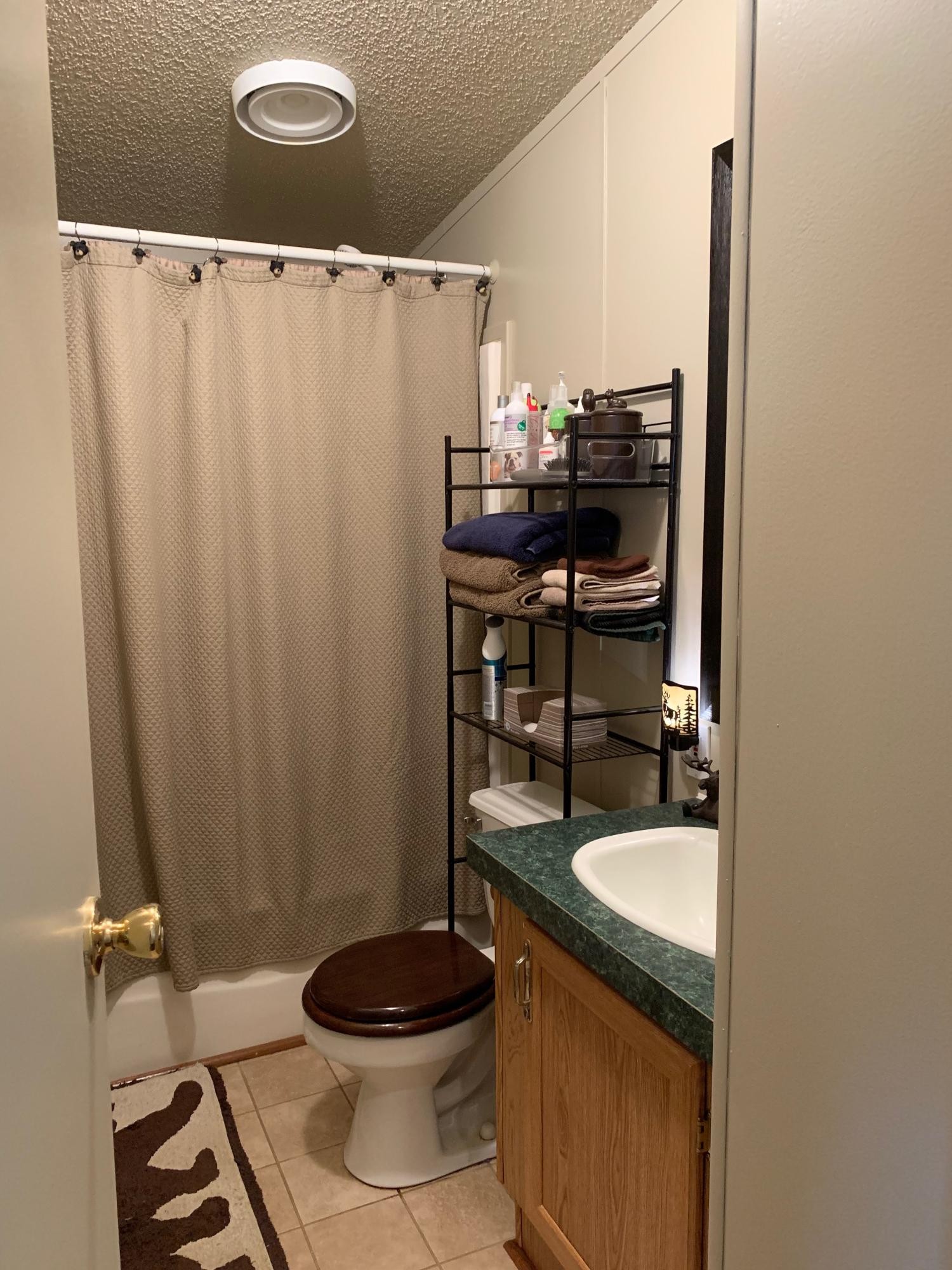 4962 Corinth Church Road Loudon, TN 37774 - Photo 15 of 18 a bathroom with a sink a toilet and shower curtain