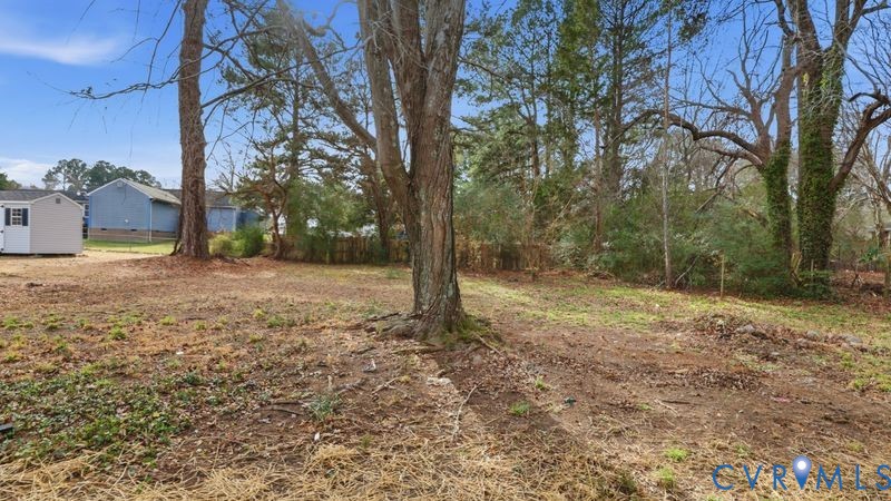 25209 Ritchie Avenue Petersburg, VA 23803 - Photo 47 of 50 a view of a yard with a tree