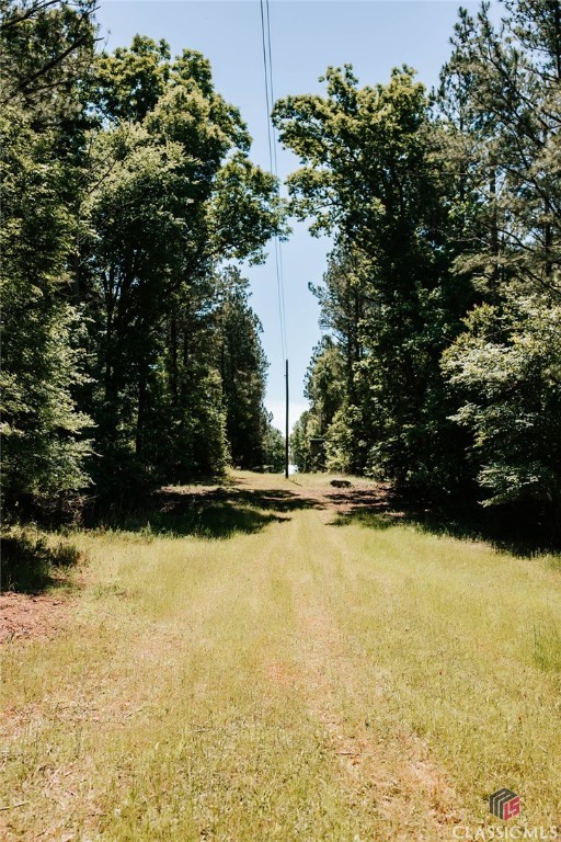 0 Bryant Road Union Point, GA 30669 - Photo 17 of 46