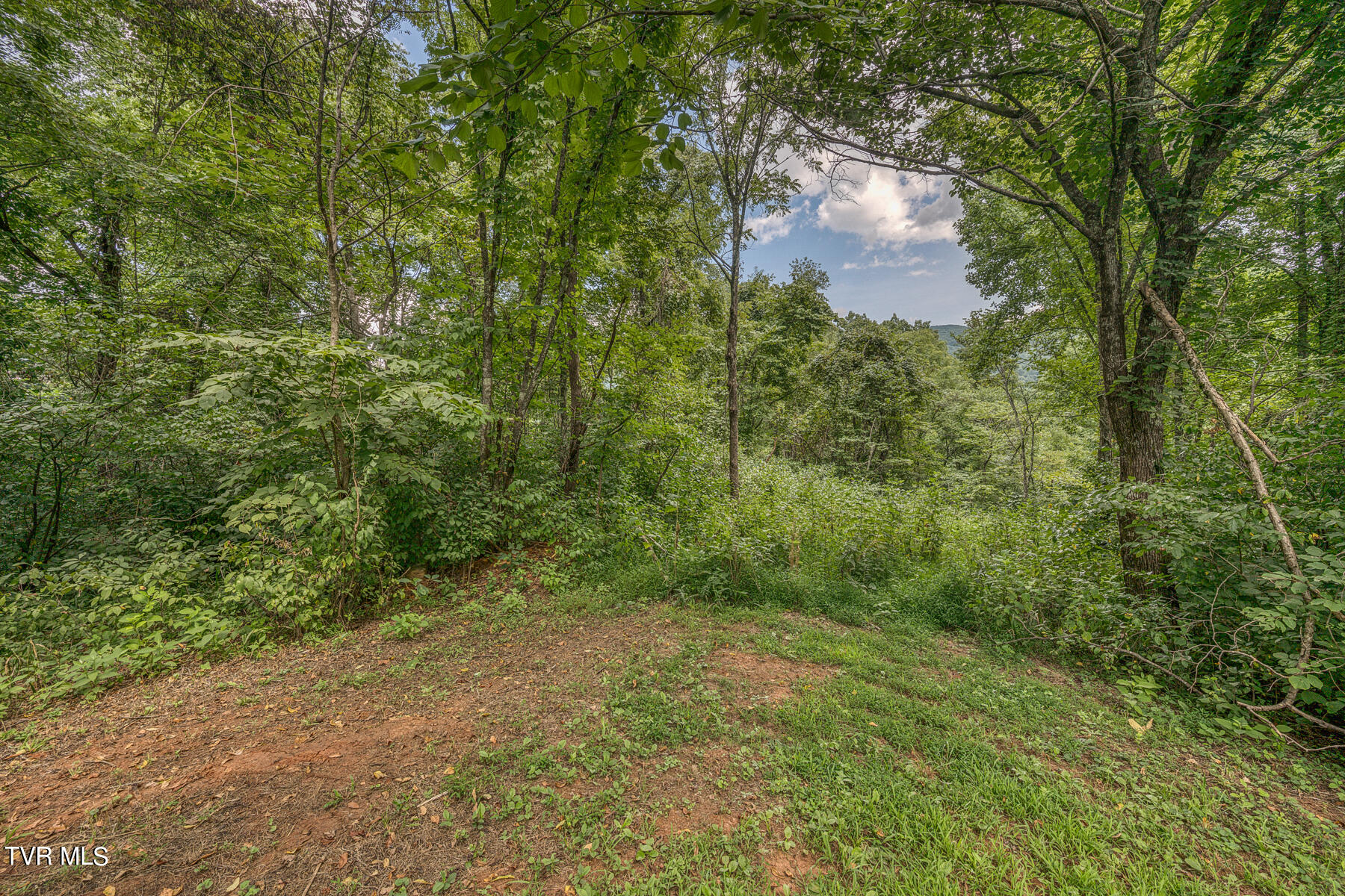 138 Freezeland Circle Elizabethton, TN 37643 - Photo 54 of 76 Main Field
