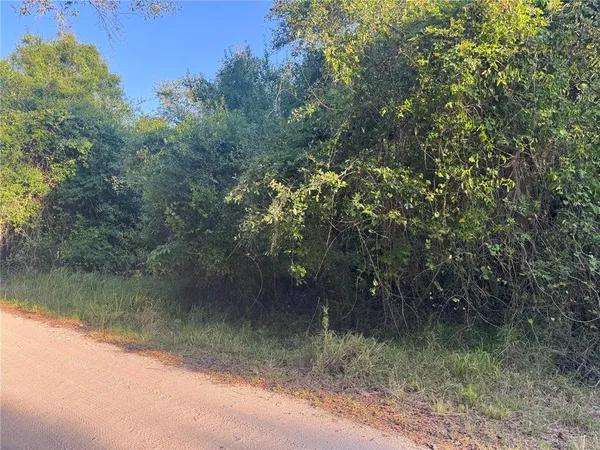 $29,000 | 1330 Northeast Riverwood Road, Arcadia, FL 34266
