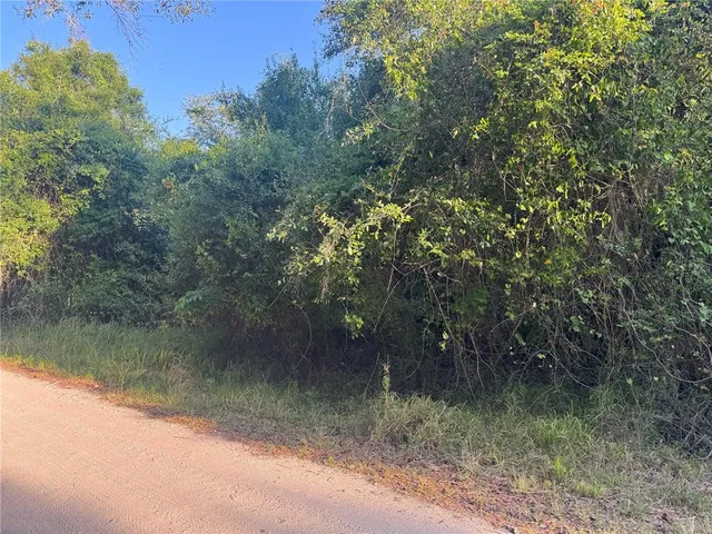 a view of river covered with trees