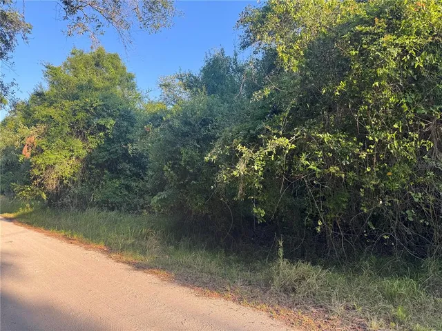 $29,000 | 1330 Northeast Riverwood Road, Arcadia, FL 34266