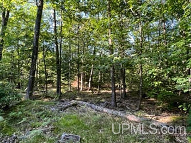 4 Lake Enchantment Road Marquette, MI 49855 - Photo 18 of 18