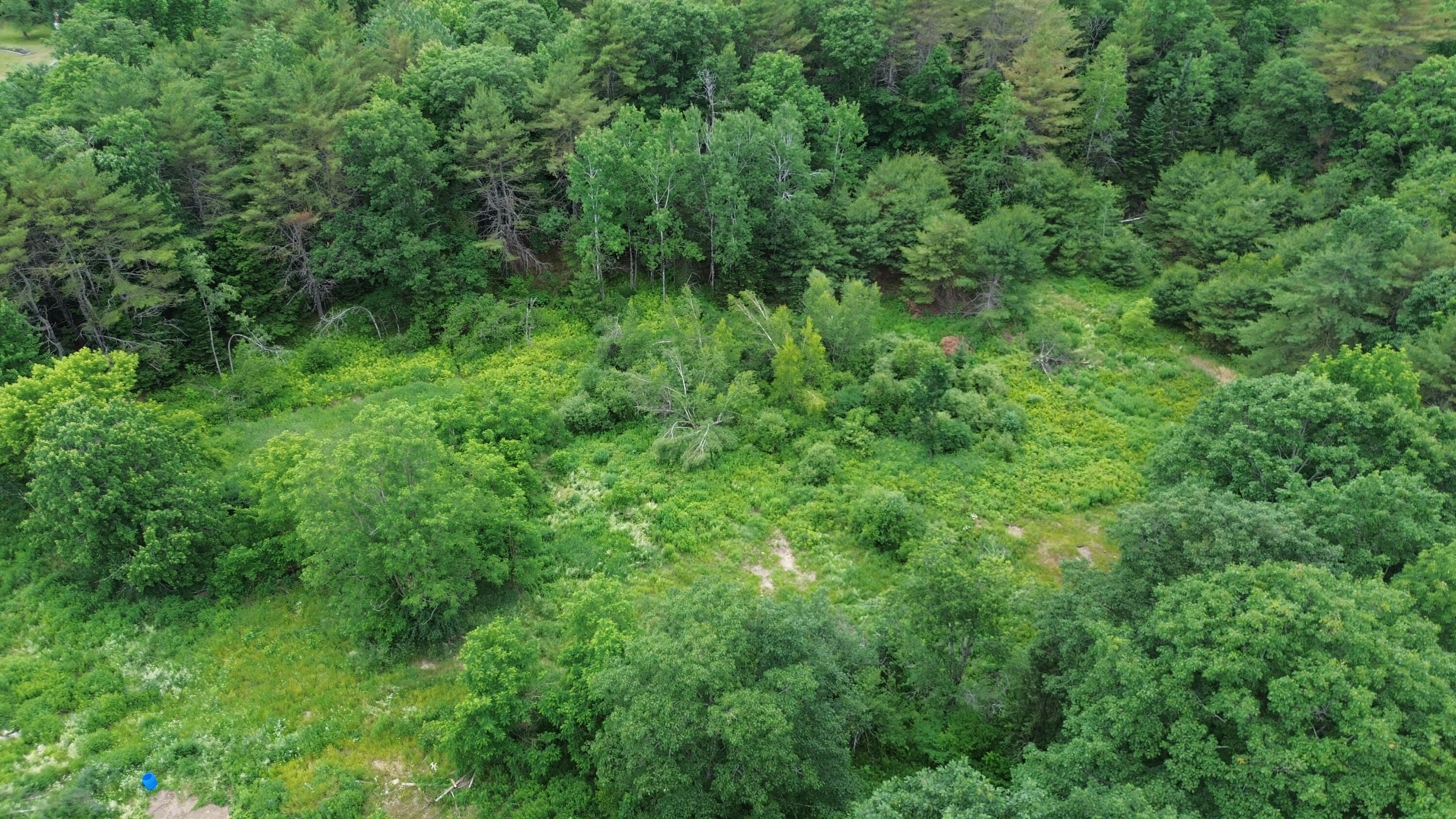 360 Nowell Road Winslow, ME 04901 - Photo 7 of 16 DJI_0225