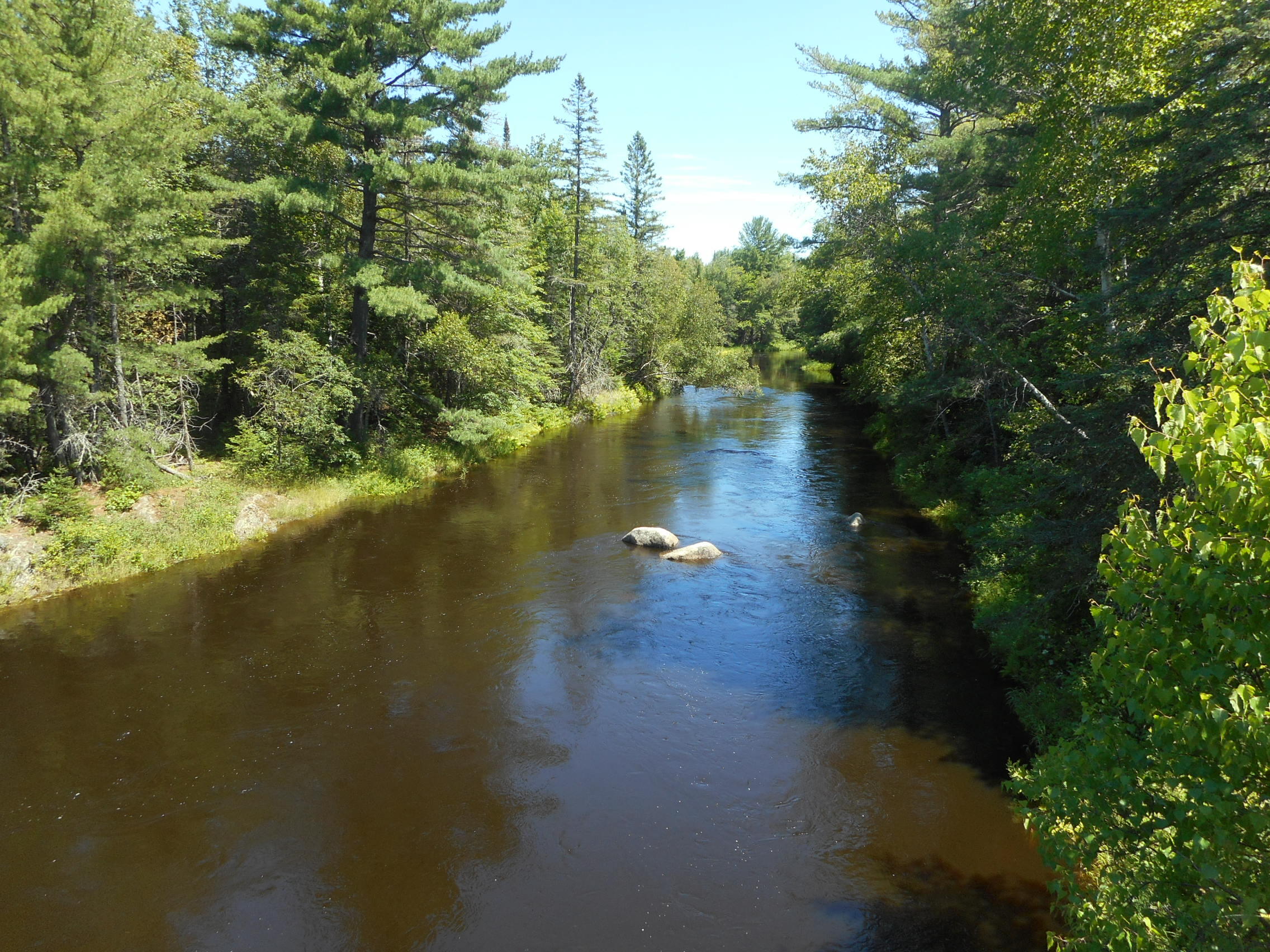 61 Pea Ridge Road Chester, ME 04457 - Photo 3 of 14 DSCN3131