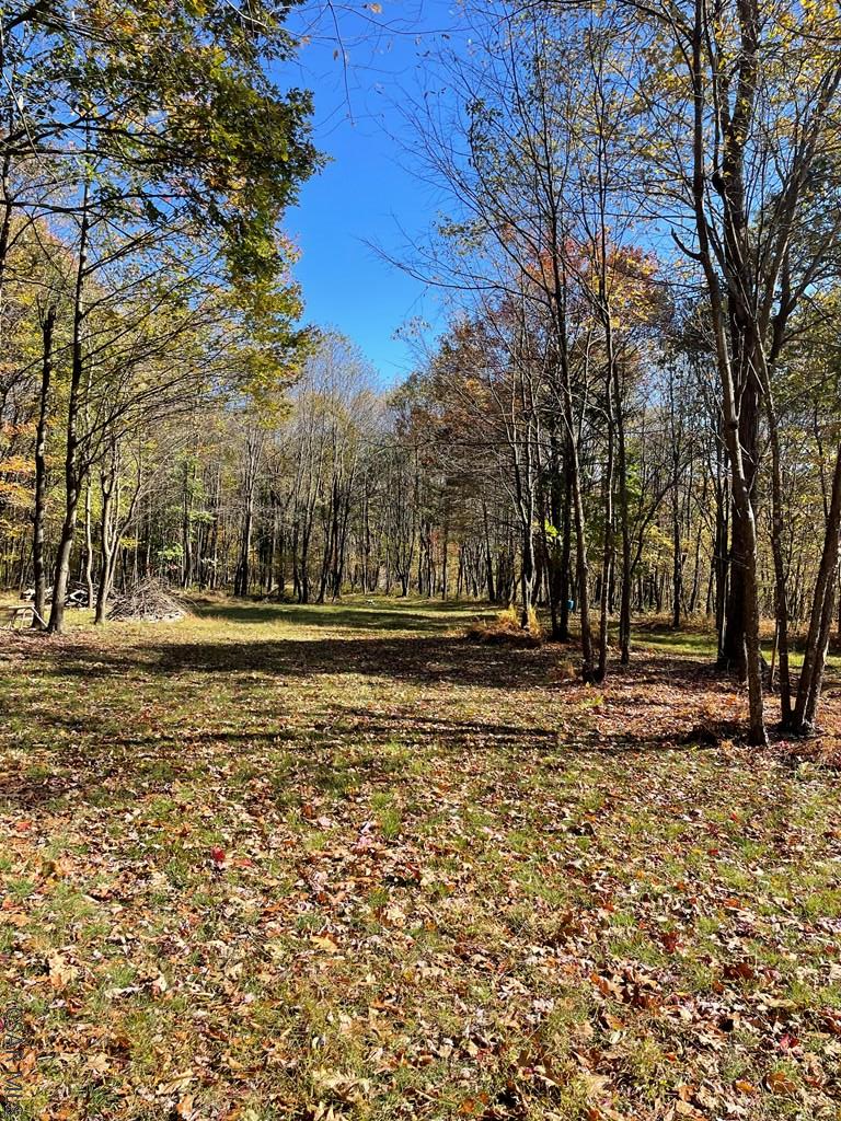 Fleegle Road Schellsburg, PA 15559 - Photo 11 of 20