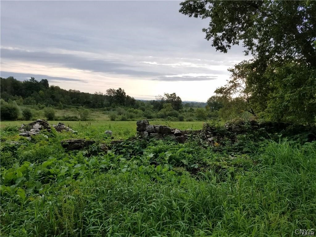 Lot 1 West Lake Road Manlius, NY 13104 - Photo 1 of 1 Gallery Image 1