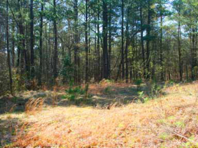 0 Taylor Pond Road North Augusta, SC 29860 - Photo 1 of 1 Gallery Image 1