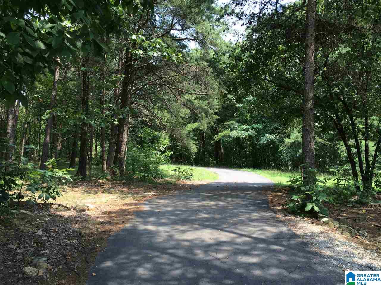 720 Mountain Ridge Road Oneonta, AL 35121 - Photo 14 of 47