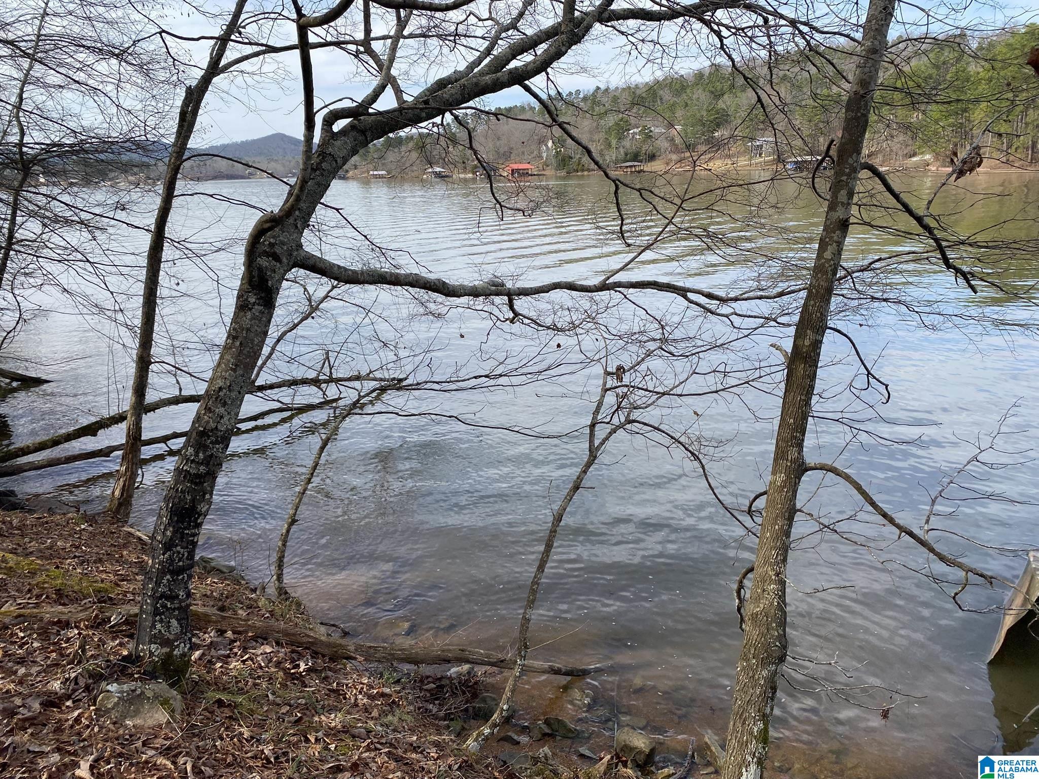 Mohawk Cliff Road, Unit 5 Ohatchee, AL 36271 - Photo 1 of 14