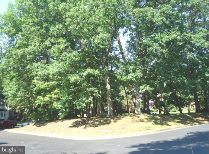 8303 Wickham Road Springfield, VA 22152 - Photo 3 of 23 Exterior (Rear)