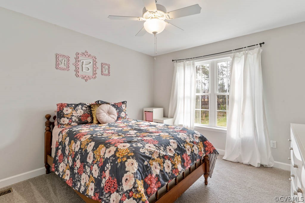 4408 Olgers Road Sutherland, VA 23885 - Photo 31 of 39 Gallery Image 31
