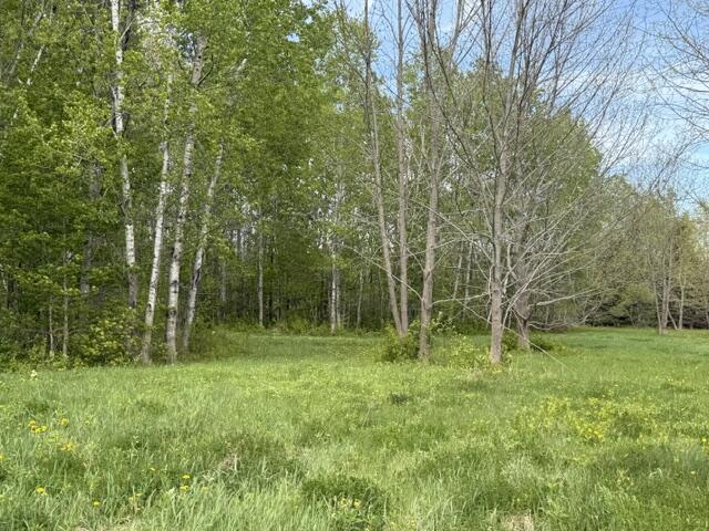 Lot 8 Clark Road Patten, ME 04765 - Photo 5 of 6 IMG_2268