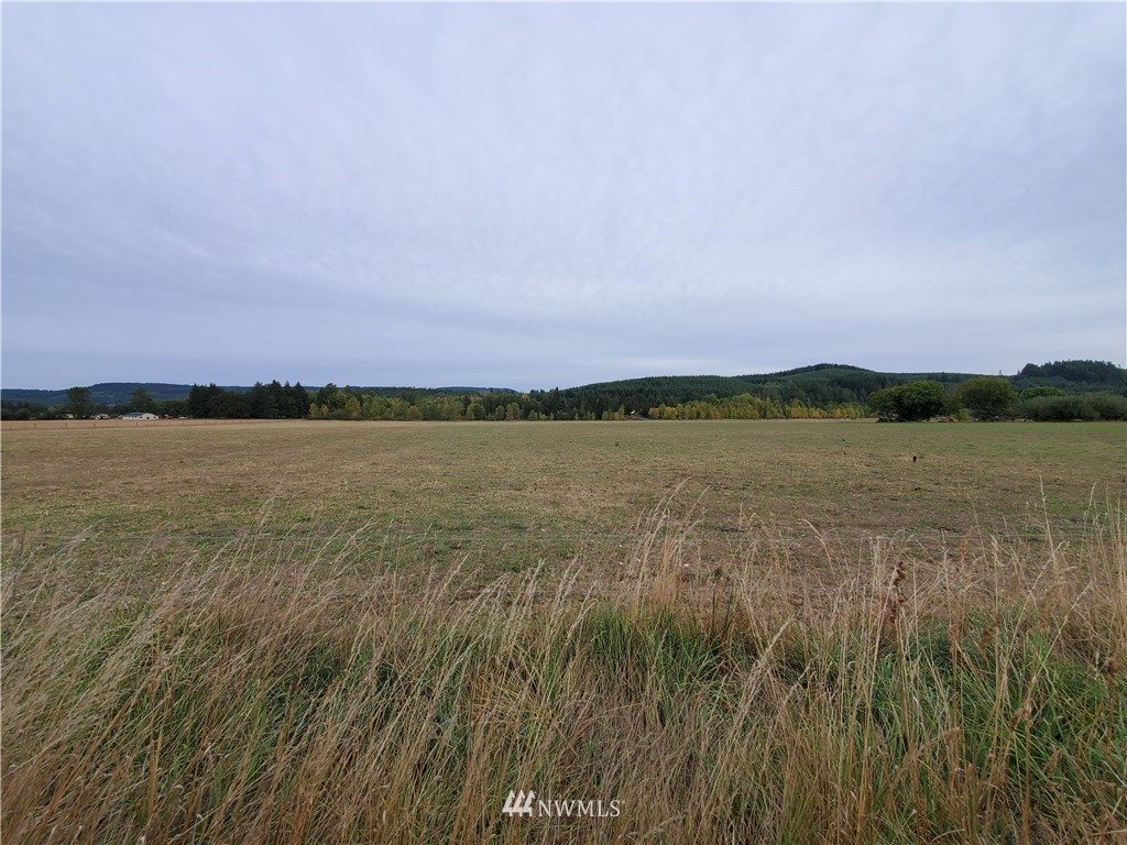 637 Boistfort Road Curtis, WA 98538 - Photo 1 of 20 a view of lake and sunset