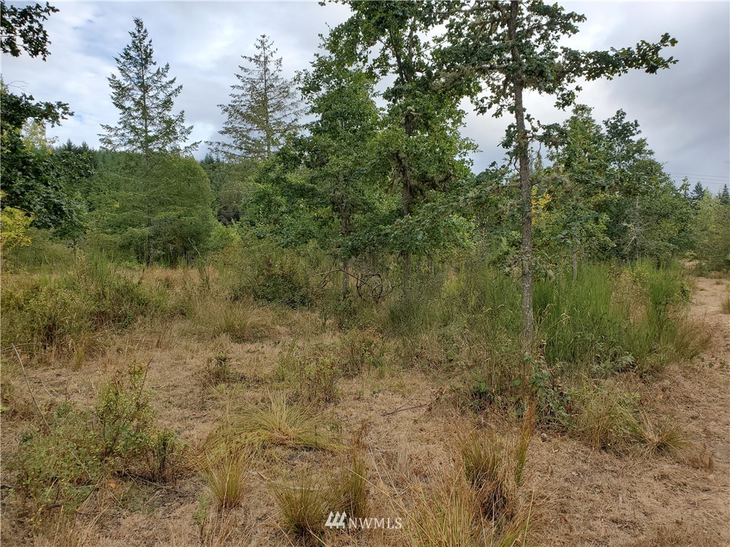 637 Boistfort Road Curtis, WA 98538 - Photo 19 of 20 a view of a lake with lots of trees