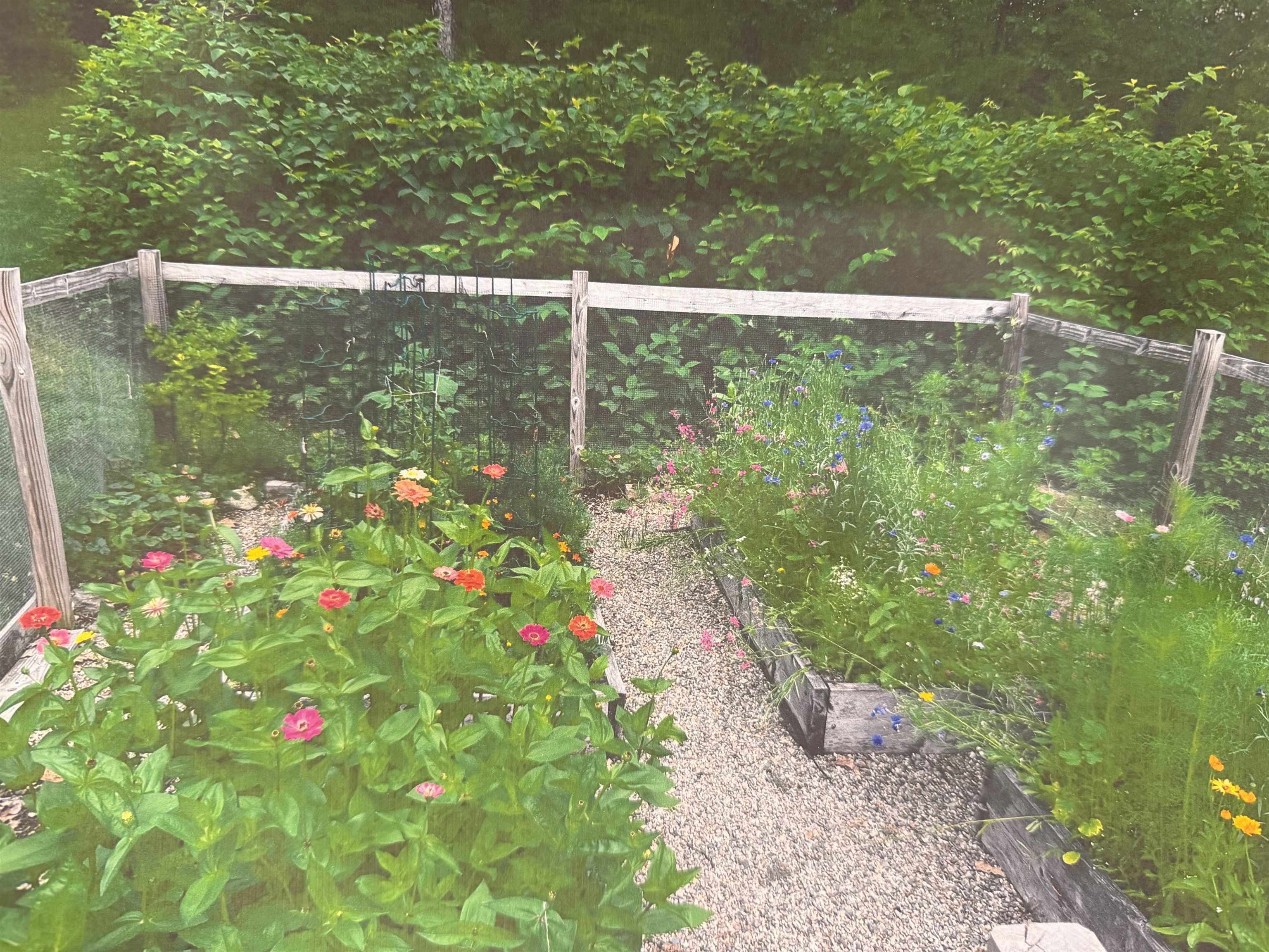 19 Hall's Mill Road Newfields, NH 03856 - Photo 50 of 62