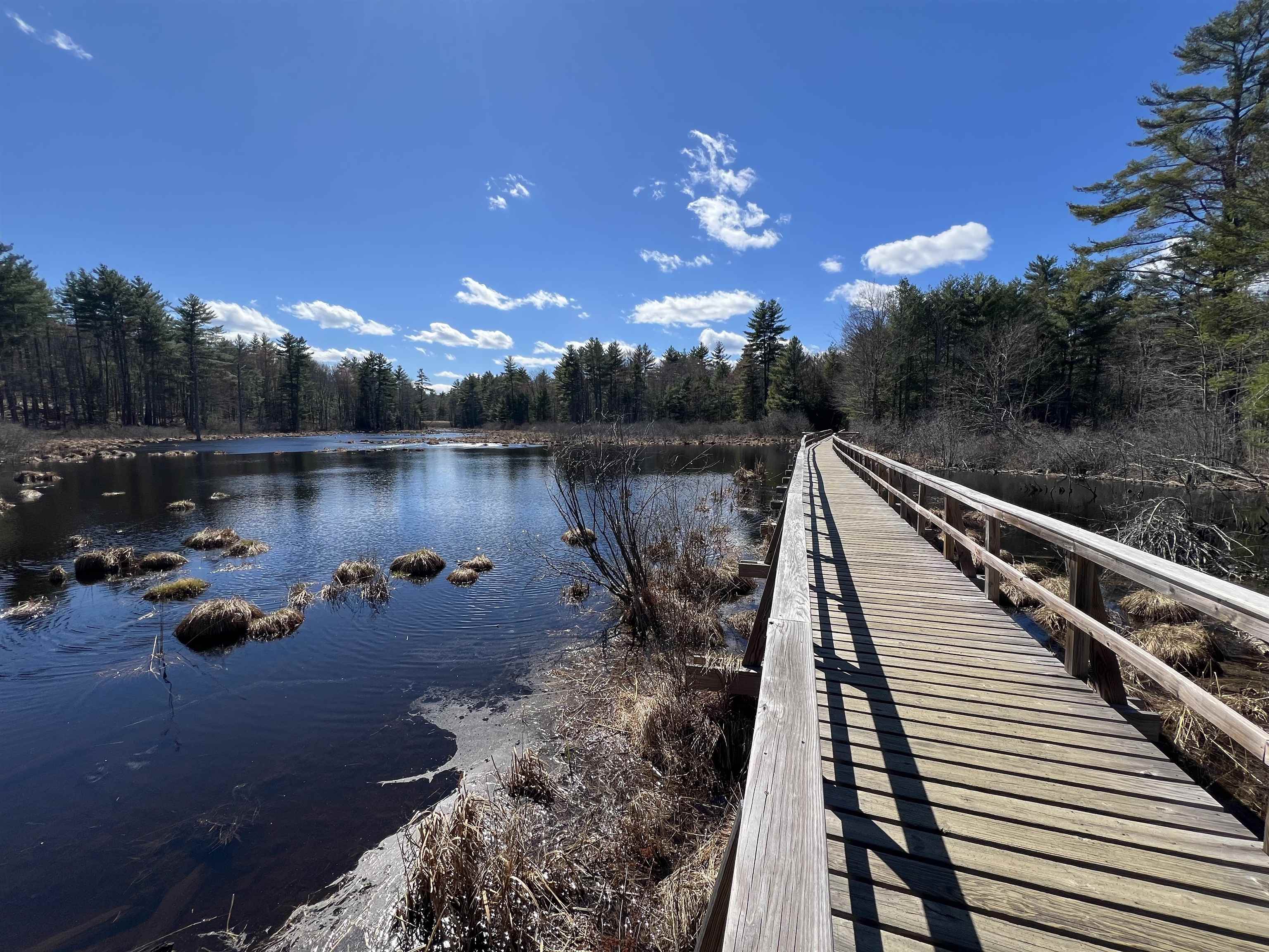 19 Hall's Mill Road Newfields, NH 03856 - Photo 55 of 62